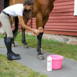Absorbine Bigeloil Muscle & Joint Pain Relief Liniment Liquid for Horses