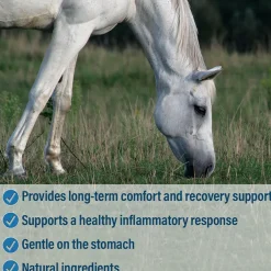 Absorbine Bute-Less Comfort & Recovery Supplement Paste for Horses (3 doses)