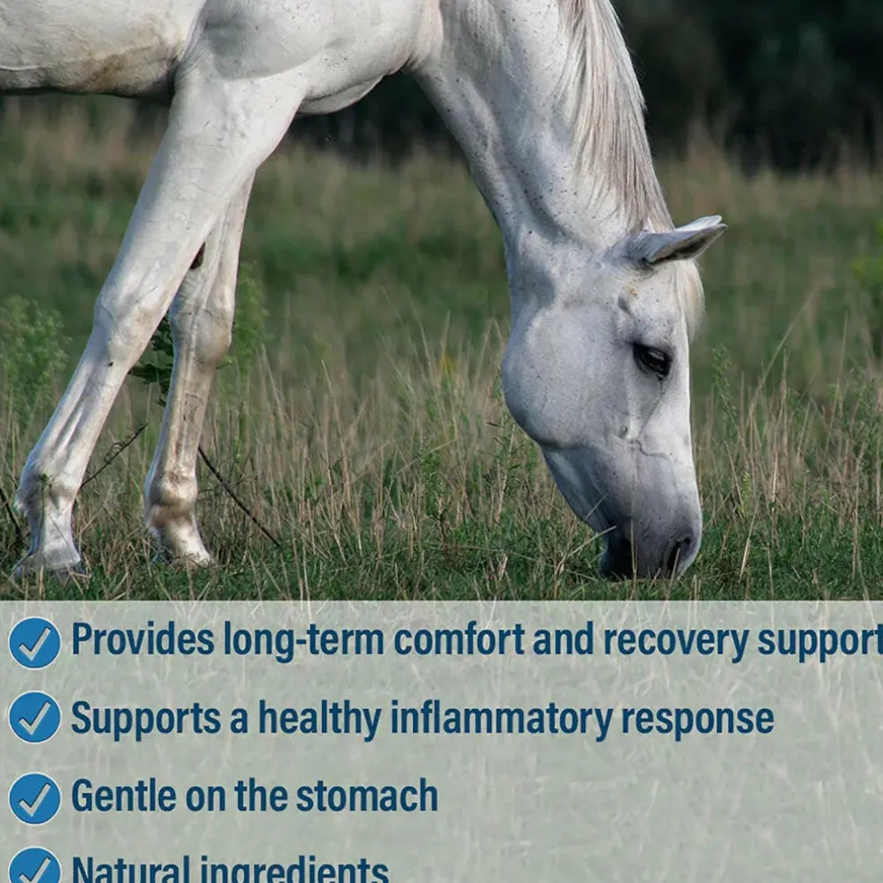 Absorbine Bute-Less Comfort & Recovery Supplement Paste for Horses (3 doses)