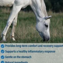 Absorbine Bute-Less Comfort & Recovery Solution Supplement for Horses