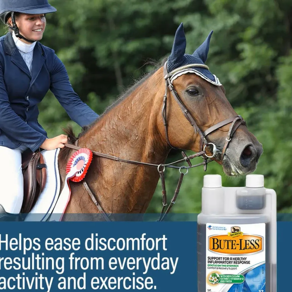 Absorbine Bute-Less Comfort & Recovery Solution Supplement for Horses