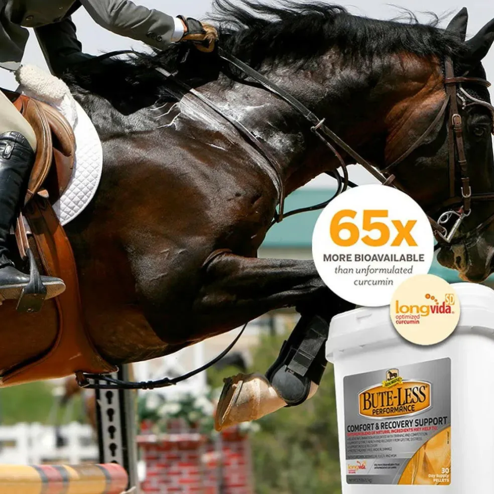 Absorbine Bute-Less Performance Comfort & Recovery Pellets for Horses (3.75 lbs)