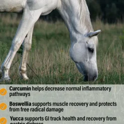 Absorbine Bute-Less Performance Comfort & Recovery Pellets for Horses (3.75 lbs)