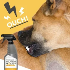 Absorbine Silver Honey Hot Spot & Wound Care Spray Gel 8 oz