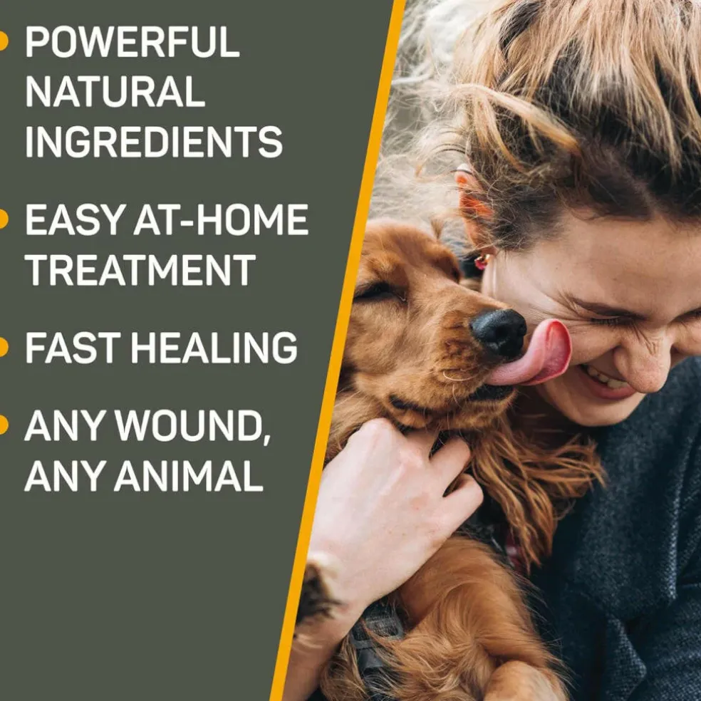 Absorbine Silver Honey Hot Spot & Wound Care Ointment 2 oz