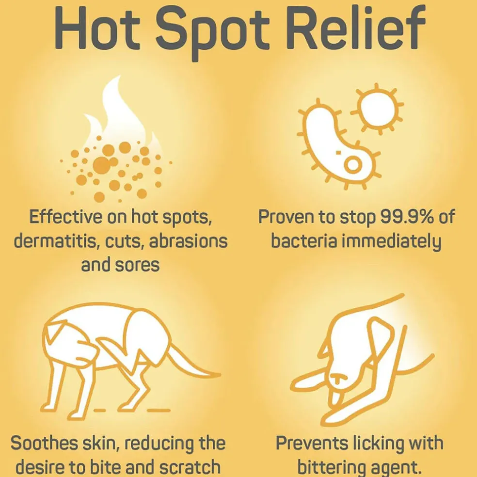 Absorbine Silver Honey Hot Spot & Wound Care Ointment 2 oz