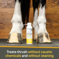 Absorbine Silver Honey Rapid Hoof Care Thrush Foam (200 ml)