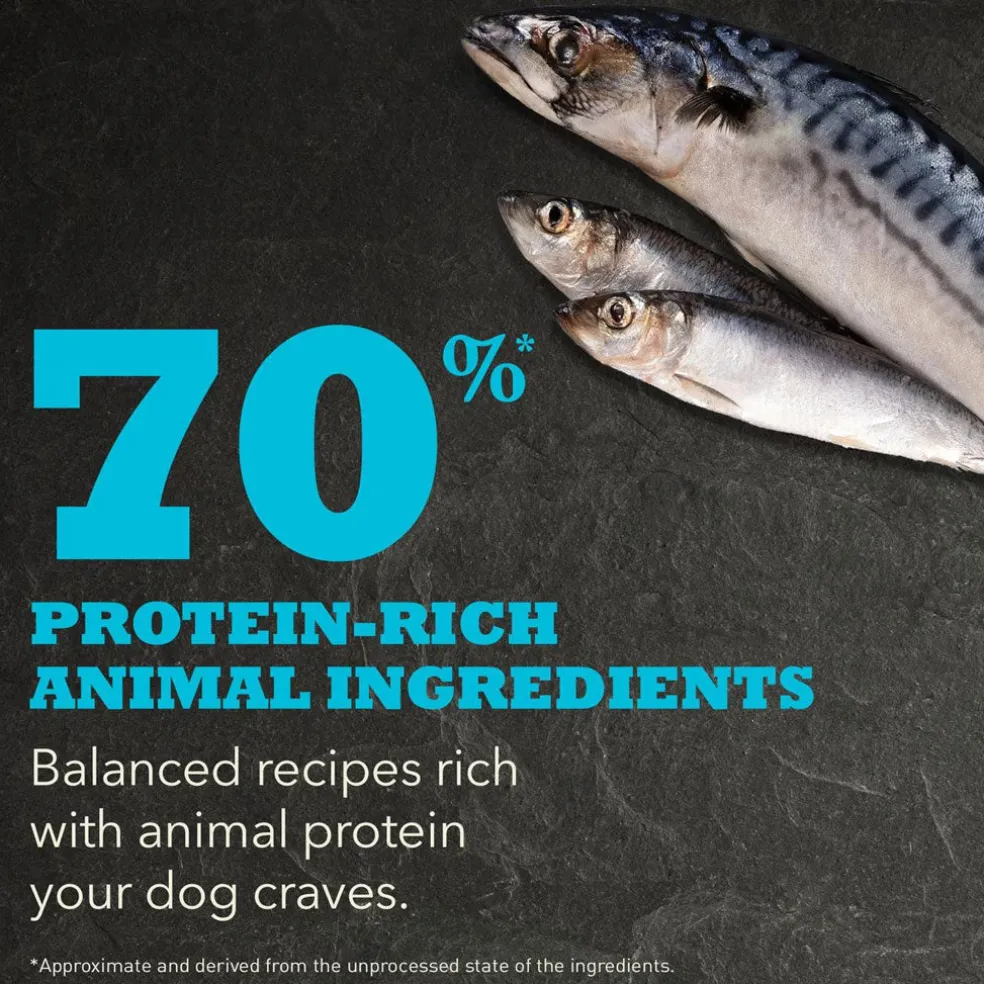 ACANA Wild Atlantic Highest Protein Grain-Free Dry Dog Food