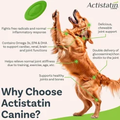 Actistatin Canine Extra-Strength Hip & Joint Soft Chews for Dogs
