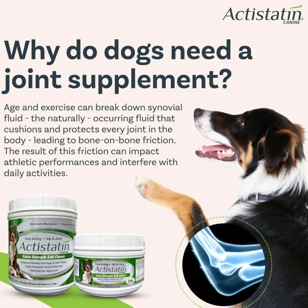 Actistatin Canine Extra-Strength Hip & Joint Soft Chews for Dogs
