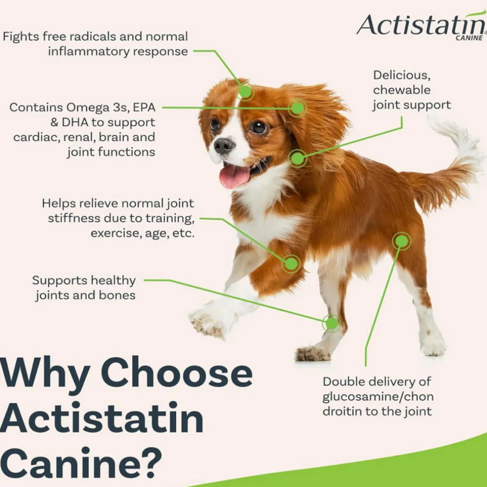 Actistatin Canine Extra-Strength Hip & Joint Small Bite Soft Chews for Small Dogs (120 ct)