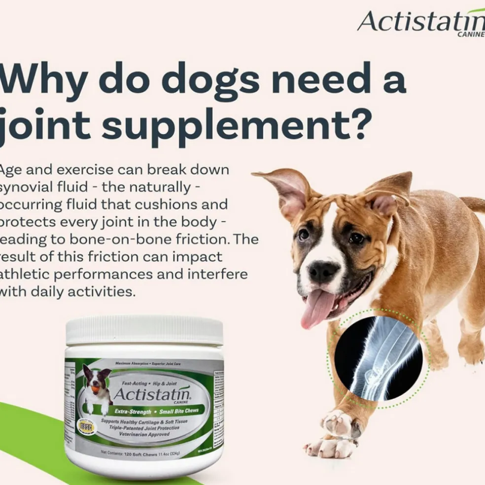 Actistatin Canine Extra-Strength Hip & Joint Small Bite Soft Chews for Small Dogs (120 ct)