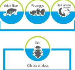 Advantage Flea & Tick Treatment Shampoo for Cats & Kittens (8 oz)