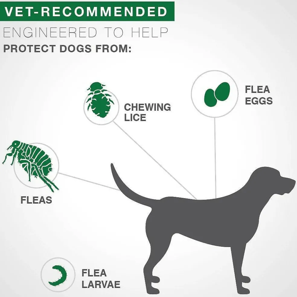 Advantage II Flea Control for Small Dogs (under 10 lbs) Green Box
