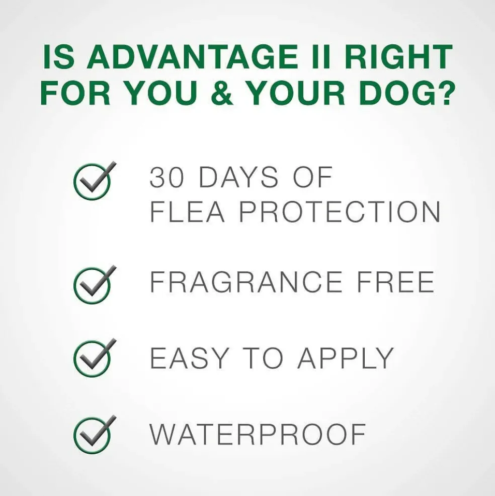 Advantage II Flea Control for Medium Dogs (11-20 lbs) Teal Box