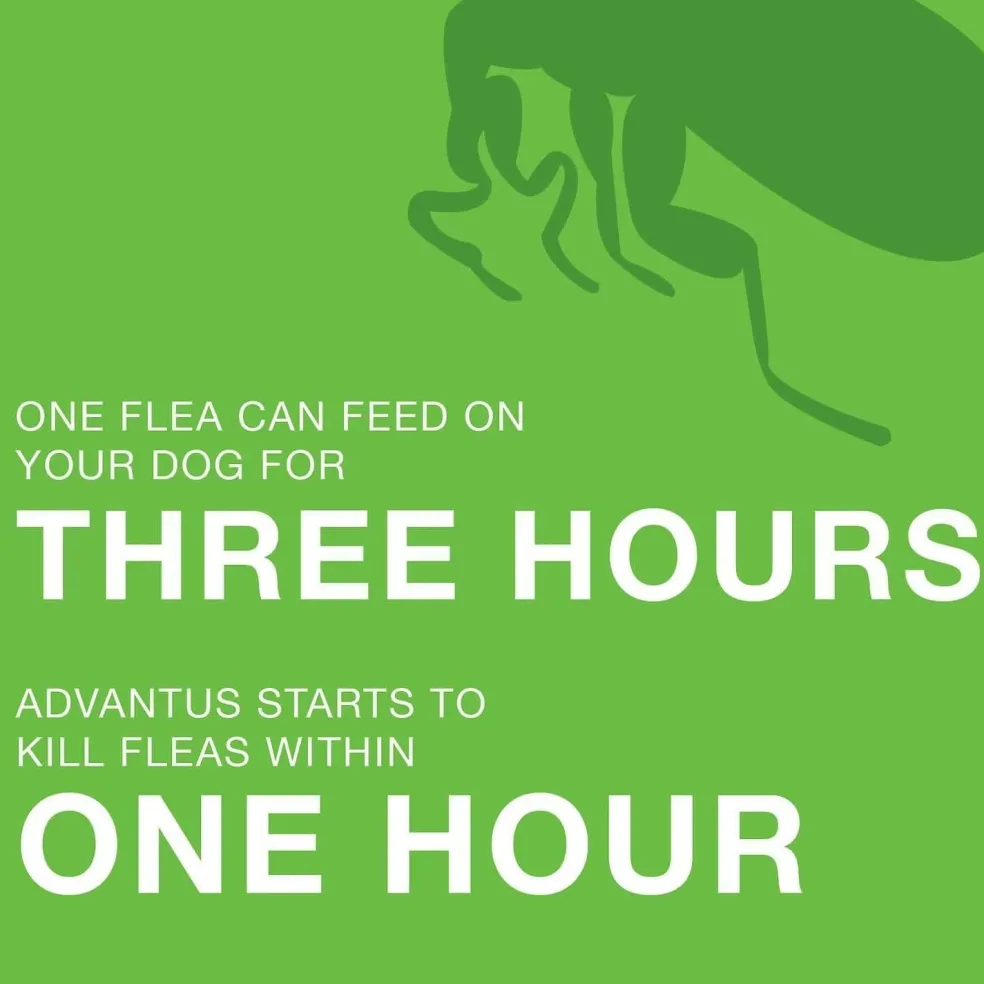 Advantus Oral Flea Treatment (23-110 lbs)