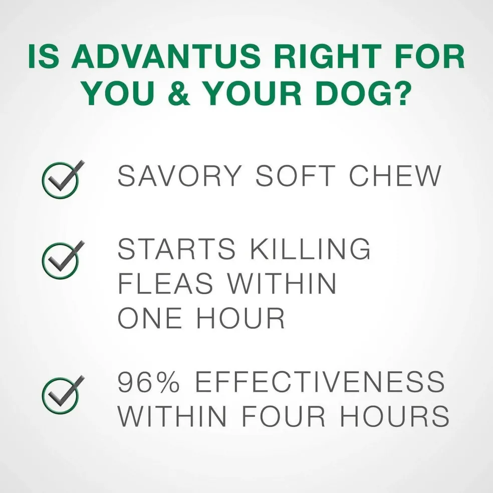 Advantus Oral Flea Treatment (23-110 lbs)