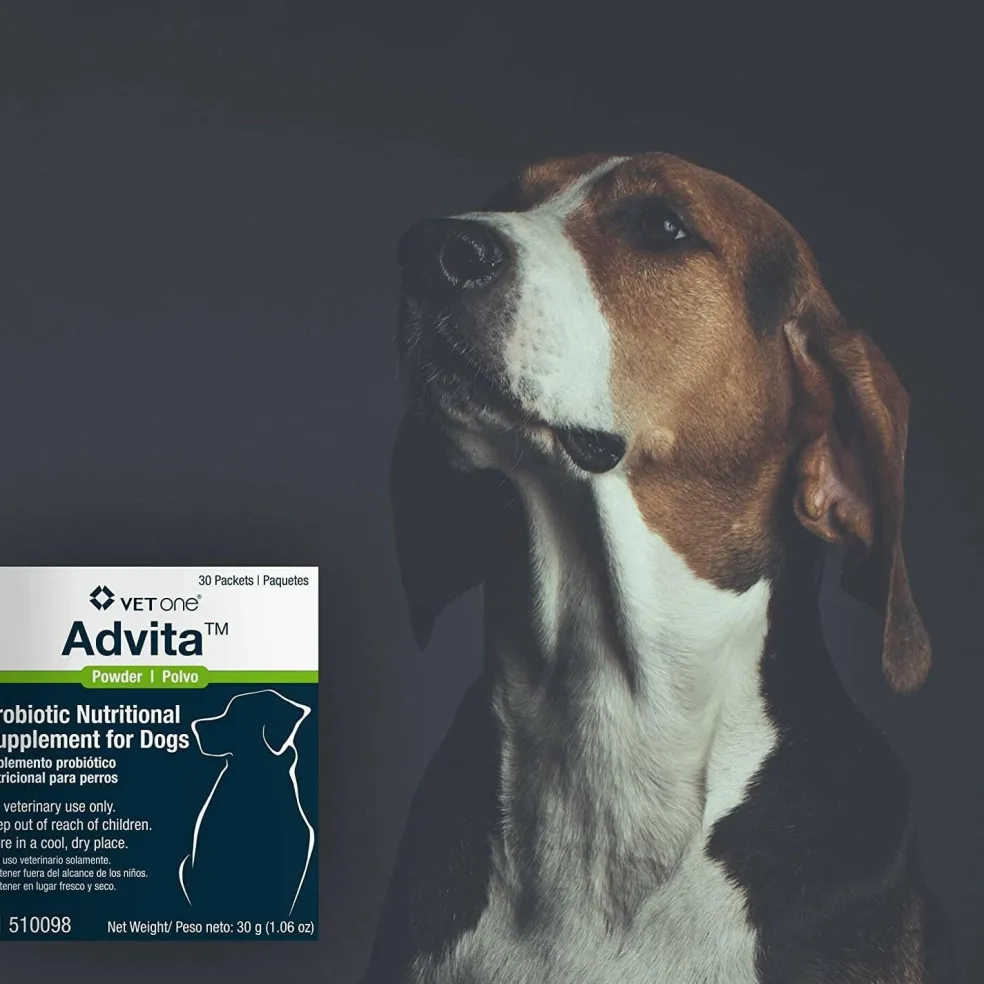 Advita Probiotic Supplement for Dogs (30 packets)
