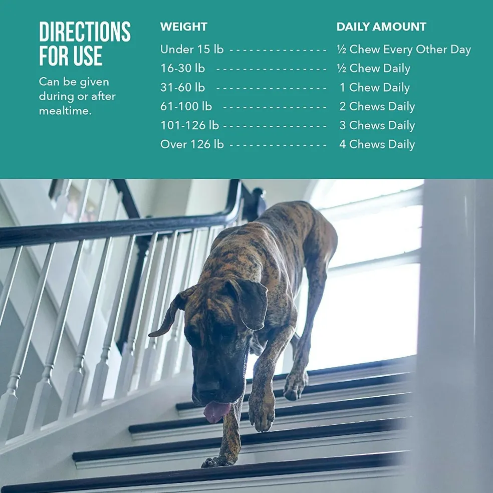 Alenza Aging Support Soft Chews for Dogs