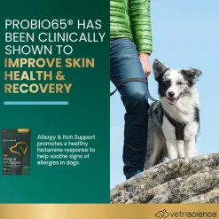 Allergy & Itch Support Chews for Dogs