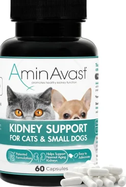 AminAvast Kidney Support Capsules for Cats - 60 Capsules