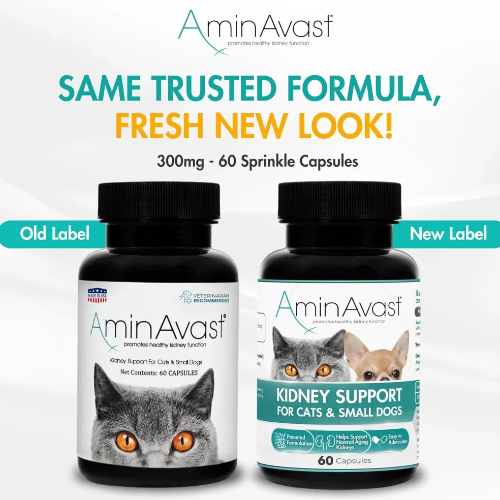 AminAvast Kidney Support Capsules for Cats - 60 Capsules