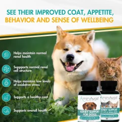AminAvast Kidney Support for Dogs (60 capsules)