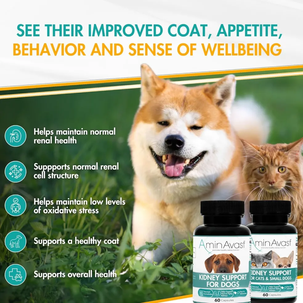 AminAvast Kidney Support for Dogs (60 capsules)