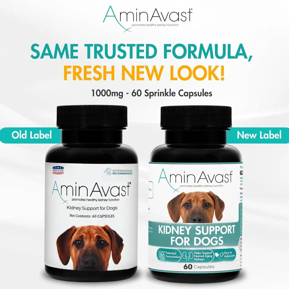 AminAvast Kidney Support for Dogs (60 capsules)