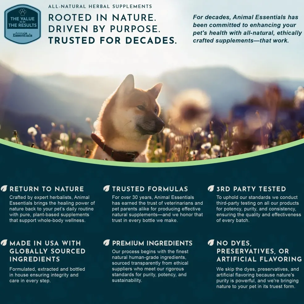 Animal Essentials Senior Support Herbal Tonic to Maintain Optimal Health for Dogs & Cats