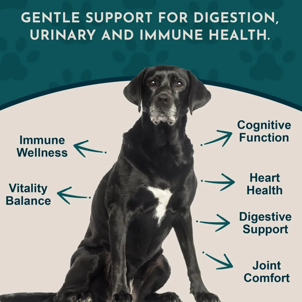 Animal Essentials Senior Support Herbal Tonic to Maintain Optimal Health for Dogs & Cats