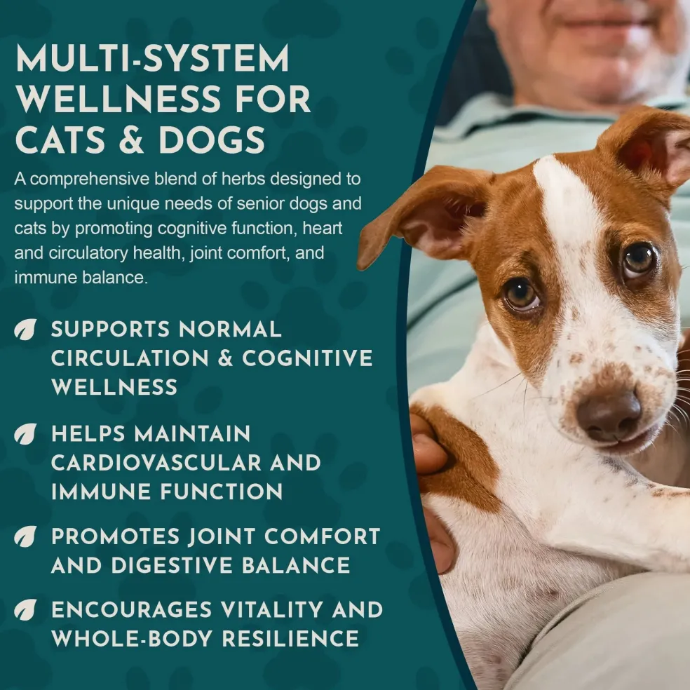 Animal Essentials Senior Support Herbal Tonic to Maintain Optimal Health for Dogs & Cats