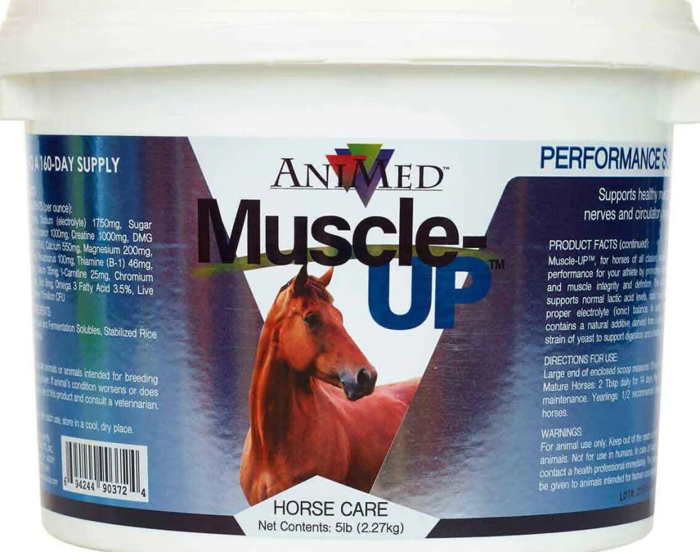 AniMed Muscle-Up Powder Supplement for Horses