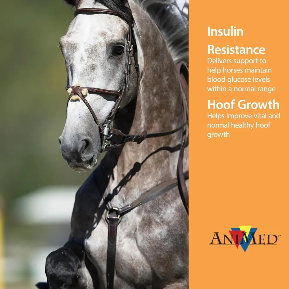 AniMed Remission For Horses