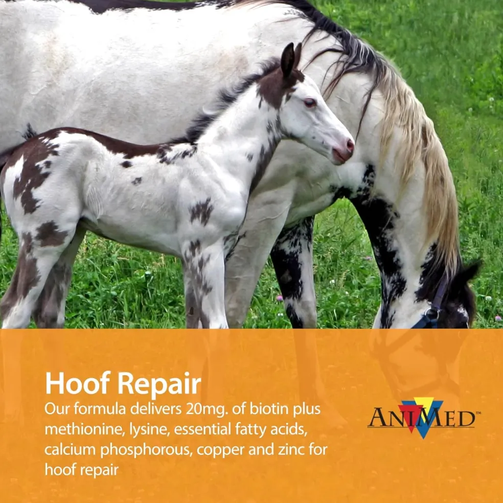 AniMed Remission For Horses