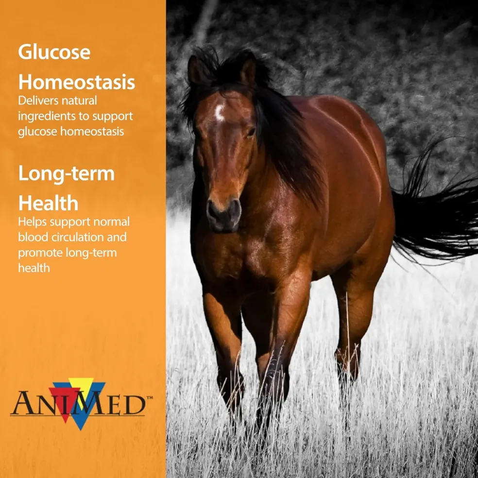 AniMed Remission For Horses