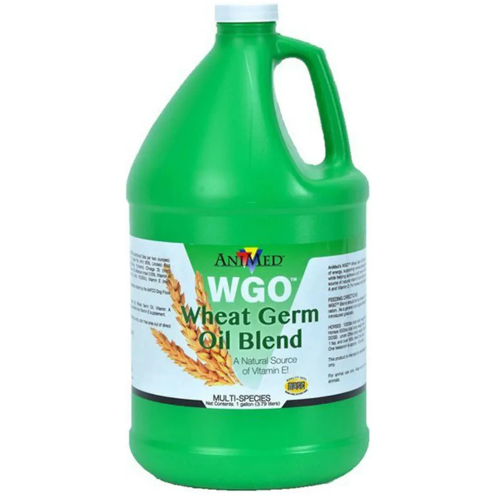 AniMed WGO Wheat Germ Oil Blend LiQuid Supplement for Horses (1 gallon)