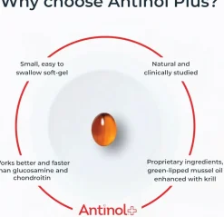 Antinol Plus for Dogs - Hip & Joint Mobility Supplement Capsules