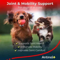 Antinol Plus for Dogs - Hip & Joint Mobility Supplement Capsules