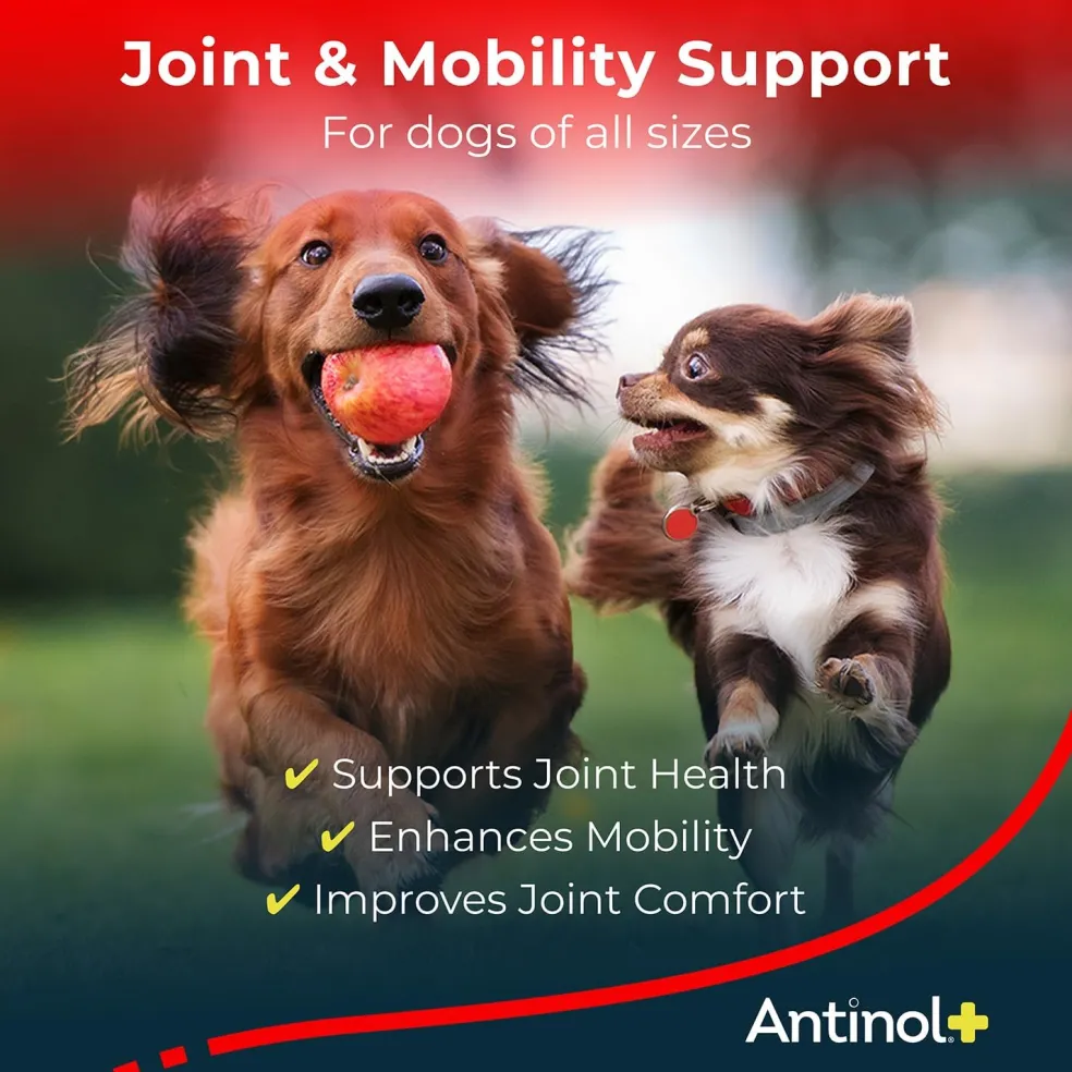 Antinol Plus for Dogs - Hip & Joint Mobility Supplement Capsules