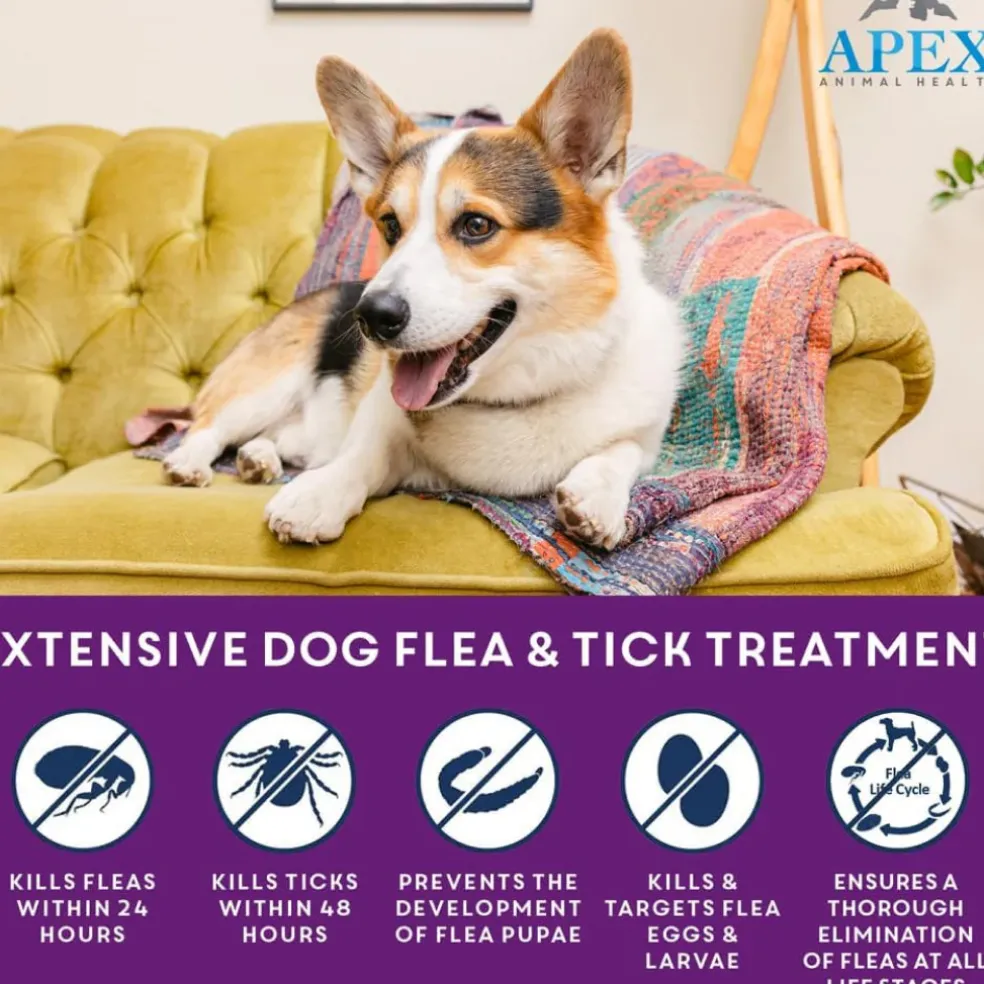Apex Plus Topical Flea & Tick Prevention for Dogs, 45-88 lbs, 3 Doses
