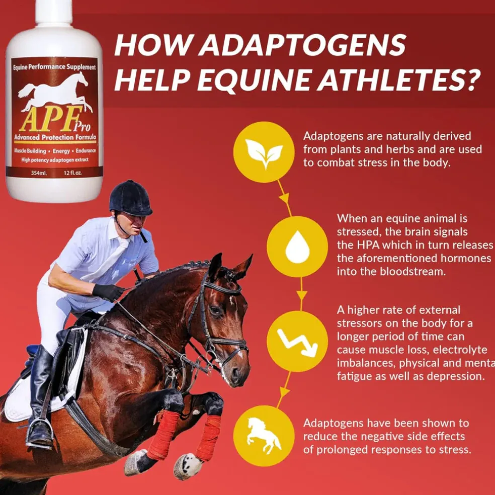 APF Pro Advanced Protection Formula Supplement for Horses (12 oz)