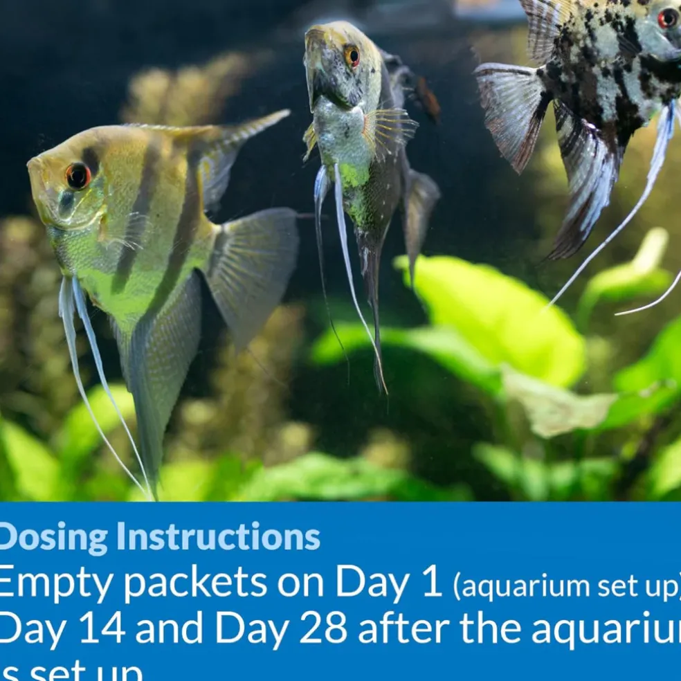 API Aquarium Water Conditioner Start-Up Pack (Stress Coat & Quick Start)