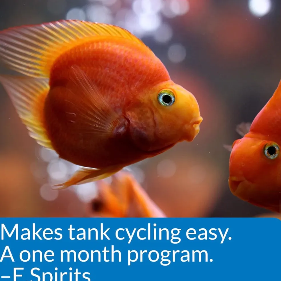 API Aquarium Water Conditioner Start-Up Pack (Stress Coat & Quick Start)