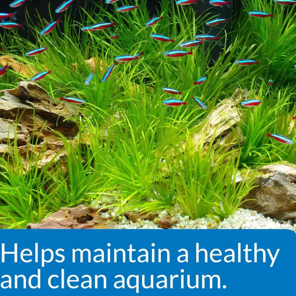 API Aquarium Water Conditioner Start-Up Pack (Stress Coat & Quick Start)