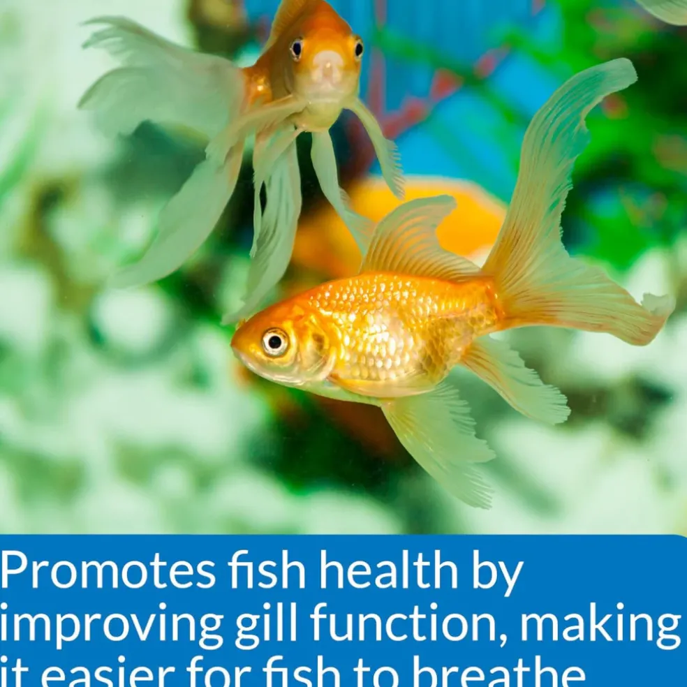 API Freshwater Aquarium Salt