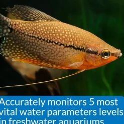 API Freshwater Master Test Kit