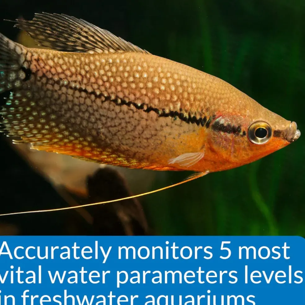 API Freshwater Master Test Kit