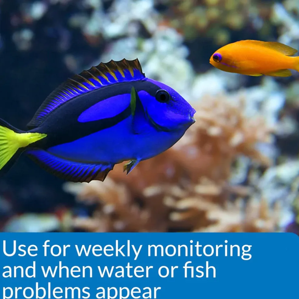API Saltwater Master Test Kit