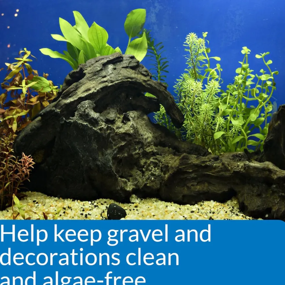 API Stress Zyme Aquarium Water Cleaner